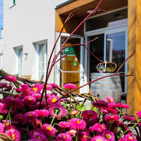 Wirtshaus Leindl 호텔 크렘스안더다노