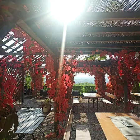 Wirtshaus Leindl קרמס אן דר דונאו
