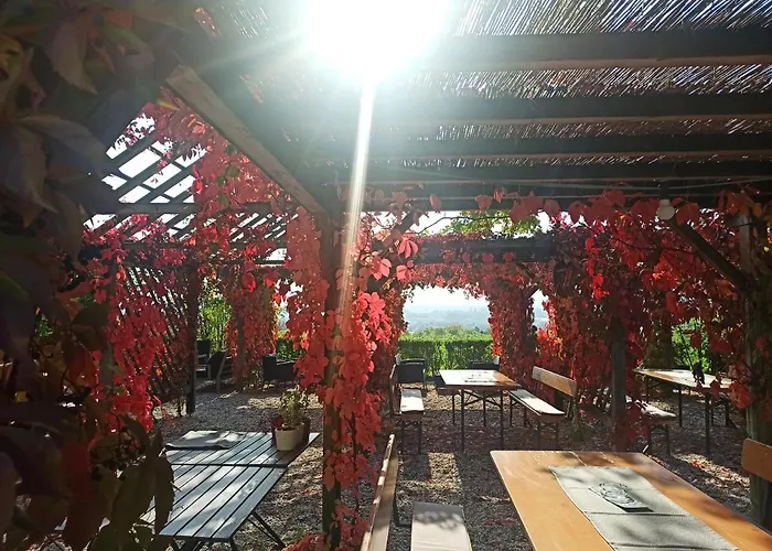 Wirtshaus Leindl 多瑙河畔克雷姆斯